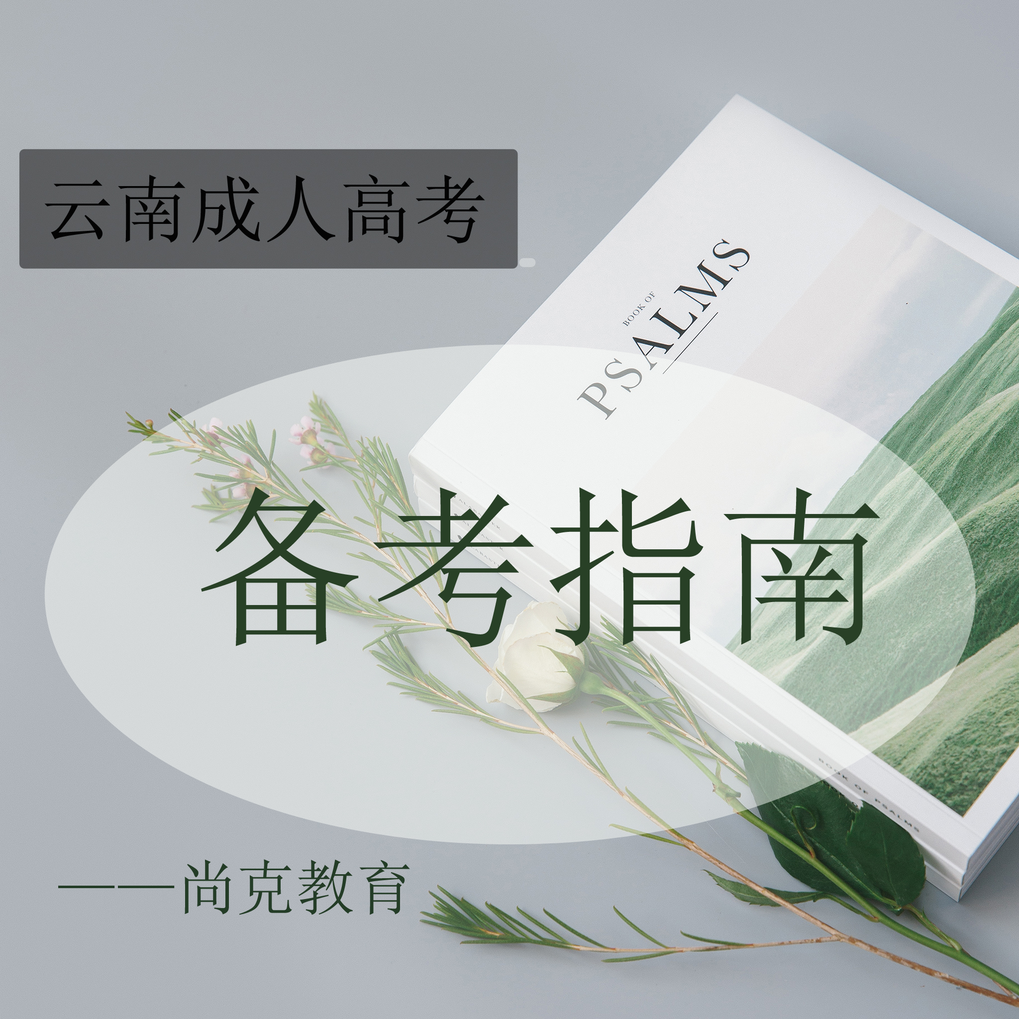 云南成人高考怎么打印昆明的社保记录？