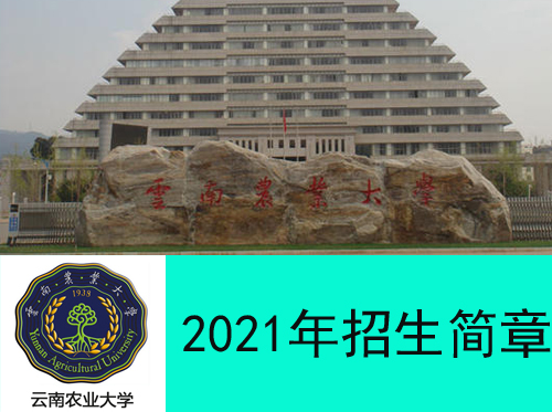2021年云南成人高考（函授）学历提升云南农业大学招生简章