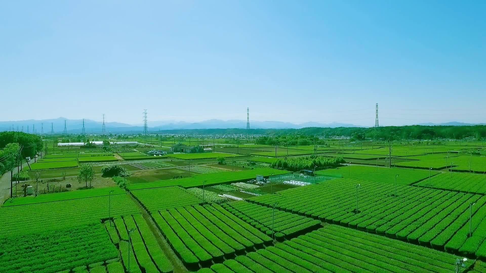 云南成人高考2021年 学历提升 云南农业职业技术学院 ​农业经济管理