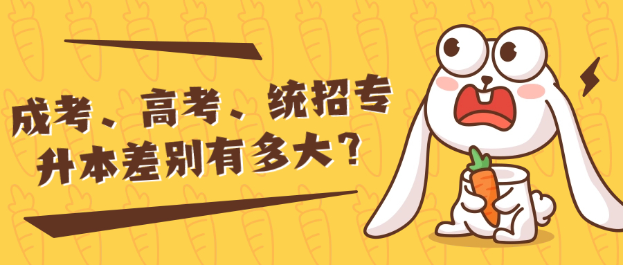 成考、高考、统招专升本差别有多大？