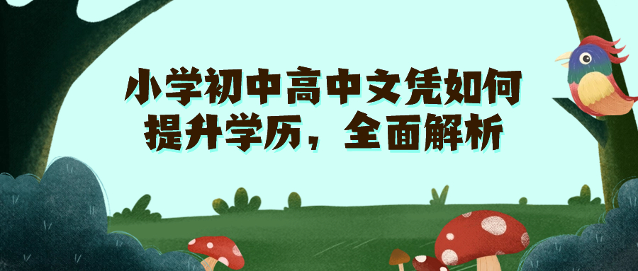 小学初中高中文凭如何提升学历，全面解析