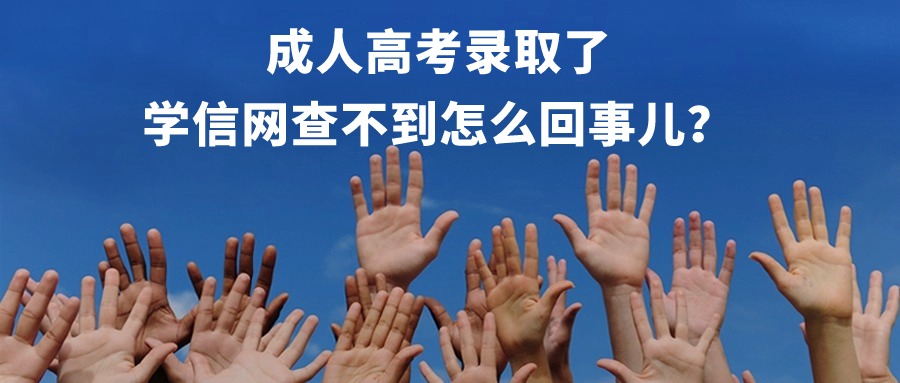 成人高考录取了，学信网查不到怎么回事儿？