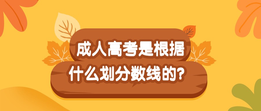 成人高考是根据什么划分数线的？