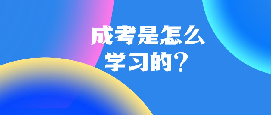 成考是怎么学习的？