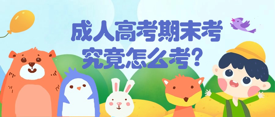 成人高考期末考究竟怎么考？一文说清毕业通关
