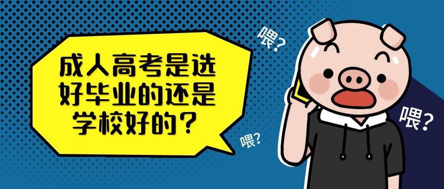 云南—成人高考是选好毕业的还是学校好的？