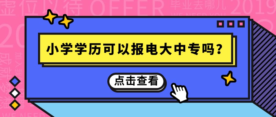 小学学历可以报电大中专吗?