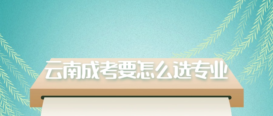 云南成考要怎么选专业